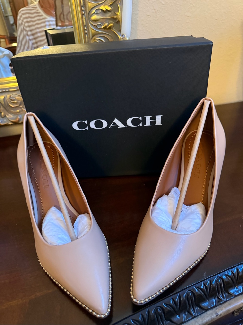 COACH Blush Nude Pointed Toe Pumps with Studded Trim